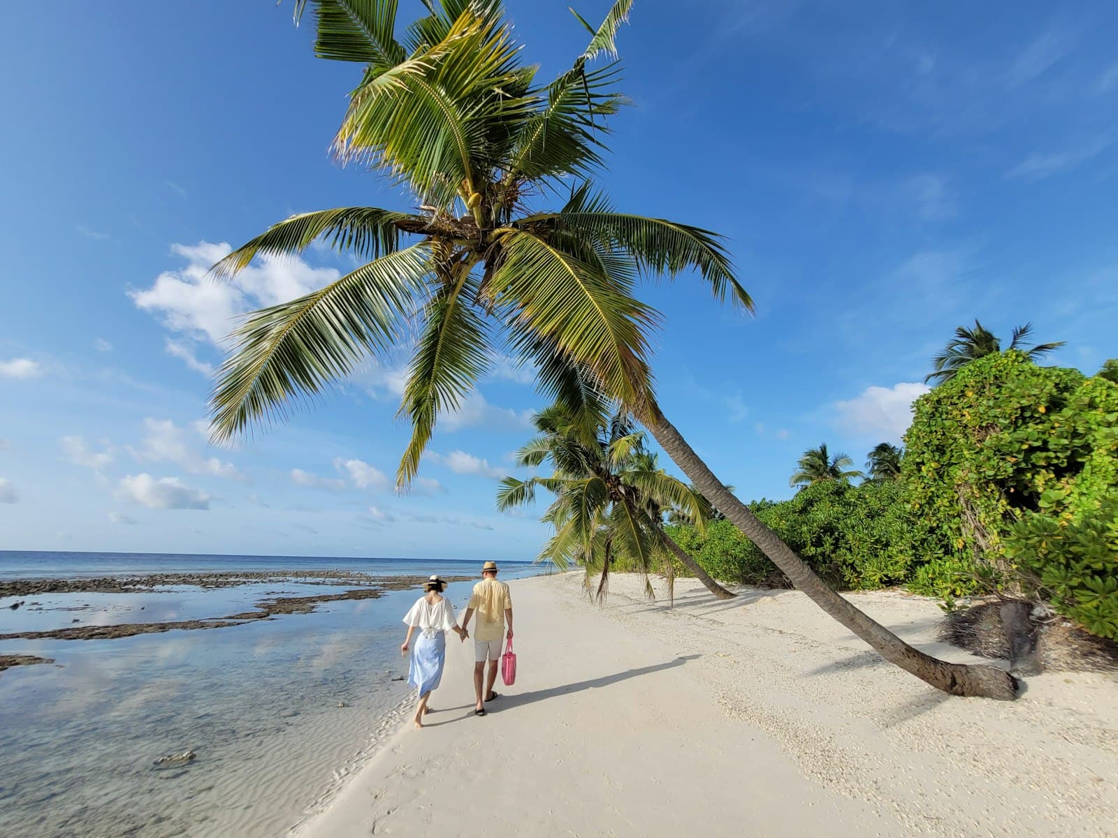 Couple walking along a tropical beach lined with palm trees