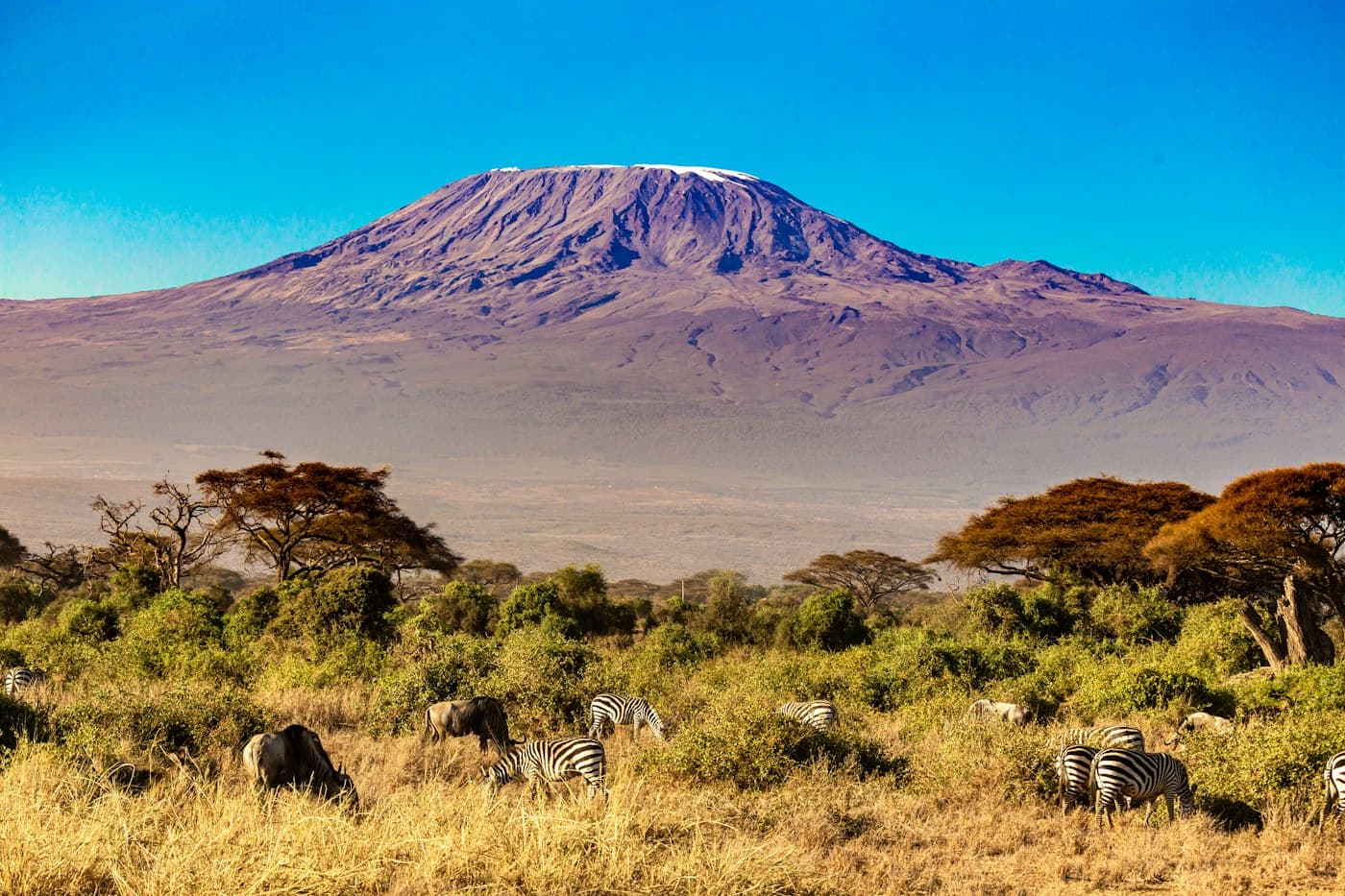 Maasai Mara Safari