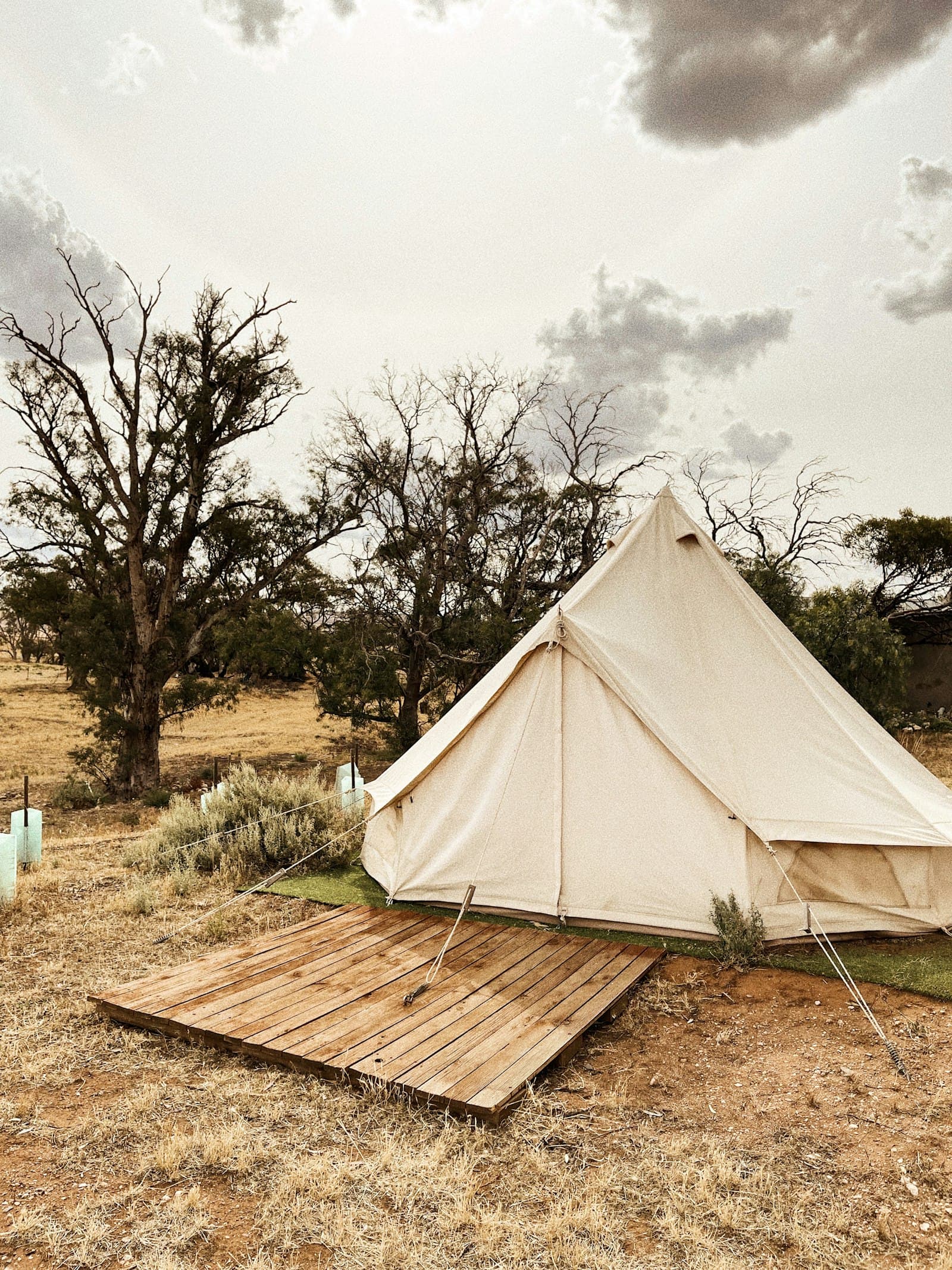 Riverside Safari Camp